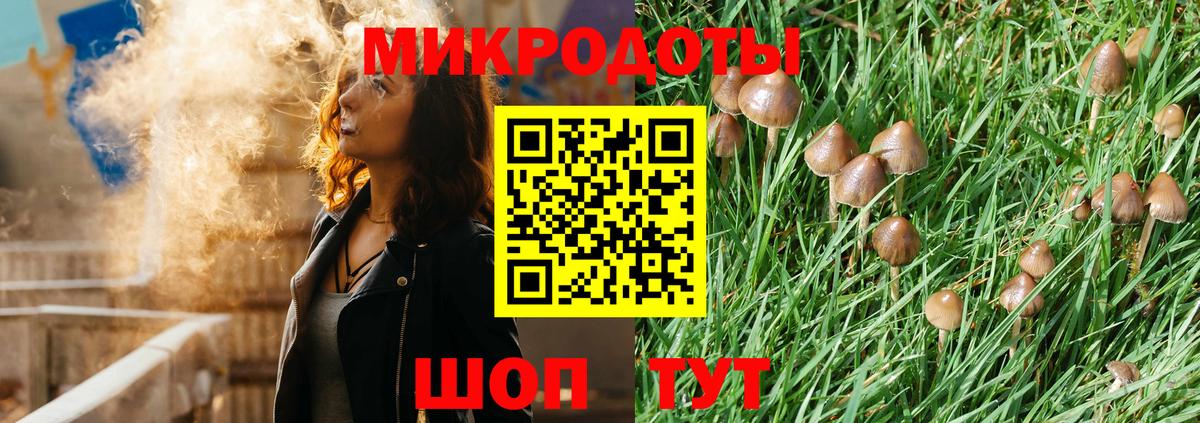Псилоцибиновые грибы Psilocybe  Вход с VPN  Галлюциногенные грибы Psilocybine cubensis  купить закладку  Кириши 